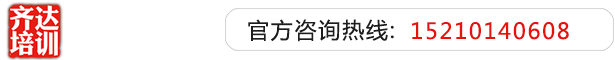 操岛国小骚逼齐达艺考文化课-艺术生文化课,艺术类文化课,艺考生文化课logo